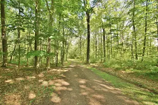 8654 N Ochu Rd, Hayward, WI 54843 - Photo 5