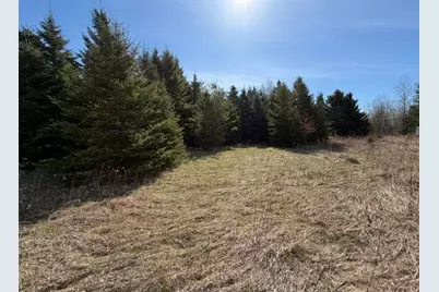 Tbd 66th Avenue NE, Remer, MN 56672 - Photo 5
