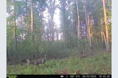 Xxx Fleming Logging Road, Hinckley, MN 55037 - Photo 3