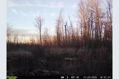 Xxx Fleming Logging Road, Hinckley, MN 55037 - Photo 1