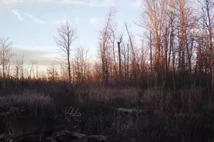 Xxx Fleming Logging Rd, Hinckley, MN 55037 - Photo 1