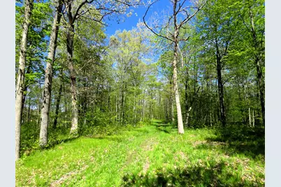Xxx Herrick Road, Siren, WI 54872 - Photo 13