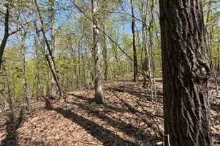 48990 Co Hwy 17, Vergas, MN 56587 - Photo 17