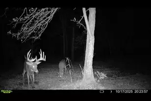 48990 Co Hwy 17, Vergas, MN 56587 - Photo 73