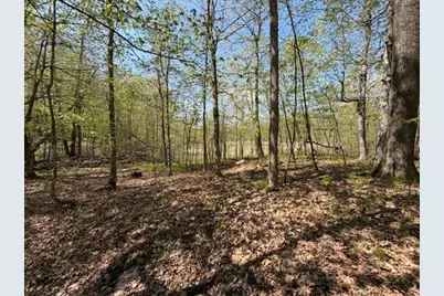48990 County Highway 17, Vergas, MN 56587 - Photo 19