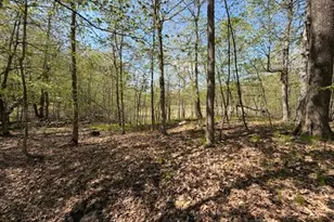 48990 Co Hwy 17, Vergas, MN 56587 - Photo 19
