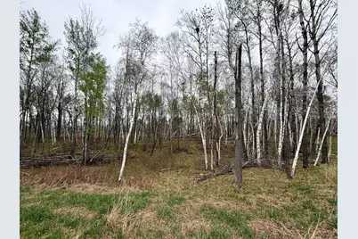 L17B1 Acorn Ridge Road NW, Bemidji, MN 56601 - Photo 1