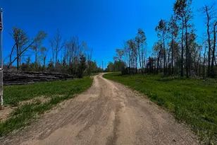 115 Balsam Ridge Rd NW, Bemidji, MN 56601 - Photo 3