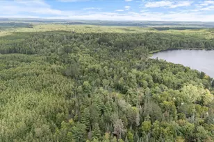 7885 Lake 14 Rd, Britt, MN 55710 - Photo 27