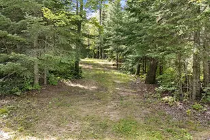 7885 Lake 14 Rd, Britt, MN 55710 - Photo 35