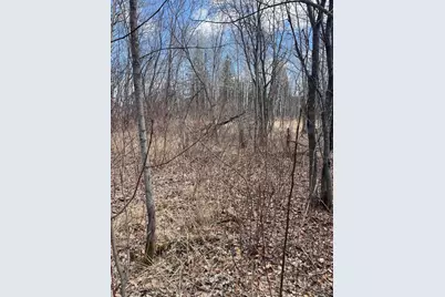 87Xx Arbor Lane, Mountain Iron, MN 55768 - Photo 9