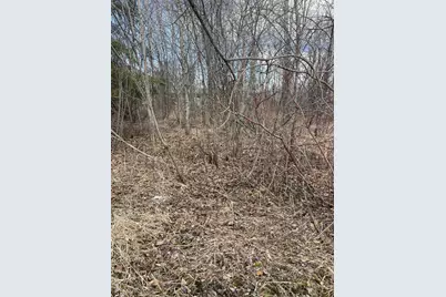 87Xx Arbor Lane, Mountain Iron, MN 55768 - Photo 7