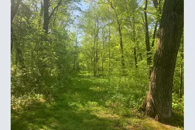 4919 County Road 141, Saint Augusta, MN 56301 - Photo 71