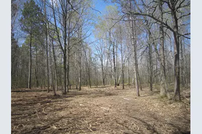 Lot 6 Pike Bay Loop NW, Cass Lake, MN 56633 - Photo 9