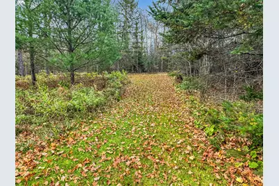 29658 W Mary Lake Drive, Bigfork, MN 56628 - Photo 33