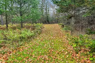 29658 W Mary Lake Dr, Bigfork, MN 56628 - Photo 33