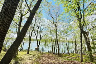 14296 E Fox Lake Rd, Detroit Lakes, MN 56501 - Photo 3