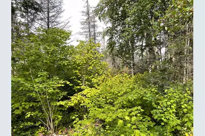 9519 Ccc Trail, Isabella, MN 55607 - Photo 25
