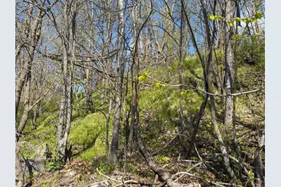Tbd Pine Point Drive, Walker, MN 56484 - Photo 13