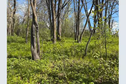 Tbd Pine Point Drive, Walker, MN 56484 - Photo 15