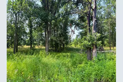 7241 US Highway 169, Garrison, MN 56450 - Photo 3