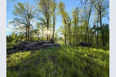 7241 US Highway 169, Garrison, MN 56450 - Photo 5