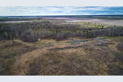 Tbd State Hwy 172 Cliff, Baudette, MN 56623 - Photo 11