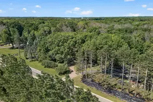 10761 Crow-Hassan Park Rd, Hanover, MN 55341 - Photo 21