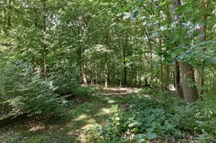 10761 Crow-Hassan Park Rd, Hanover, MN 55341 - Photo 5