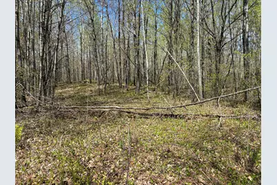 854X W Chub Lake Rd, Carlton, MN 55718 - Photo 3