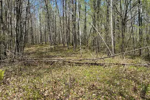 854X W Chub Lake Rd, Carlton, MN 55718 - Photo 3