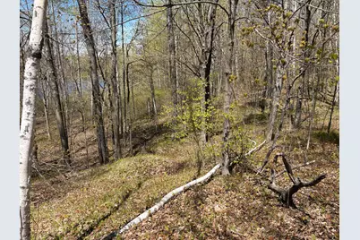 854X W Chub Lake Rd, Carlton, MN 55718 - Photo 5