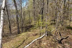 854X W Chub Lake Rd, Carlton, MN 55718 - Photo 5
