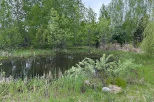 14351 110th St, Foreston, MN 56330 - Photo 31