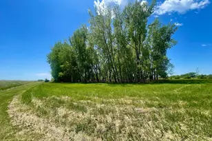1658 231st St, Garvin, MN 56132 - Photo 51