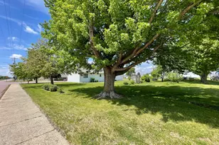 208 Broad Street S, Comfrey, MN 56019 - Photo 29