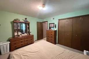115 W Lincoln St, Springfield, MN 56087 - Photo 19