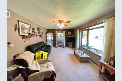 115 W Lincoln Street, Springfield, MN 56087 - Photo 5