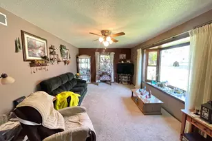 115 W Lincoln St, Springfield, MN 56087 - Photo 5