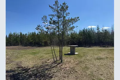 Tbd Thompson Forest Road, Roseau, MN 56751 - Photo 11