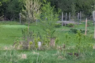 914 NE 2nd Ave NE, Long Prairie, MN 56347 - Photo 23