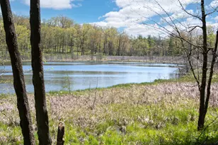 Tbd 170th Ave/Cty Rd I, Balsam Lake, WI 54810 - Photo 1