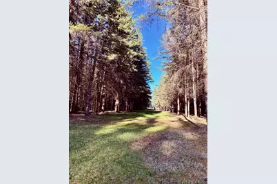 2640 18th Street NW, Baudette, MN 56623 - Photo 17