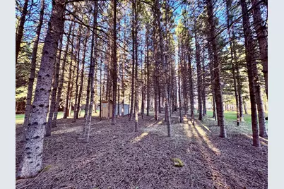 2640 18th Street NW, Baudette, MN 56623 - Photo 13