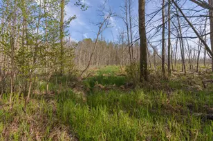 17549 295th Ave, Isle, MN 56342 - Photo 21