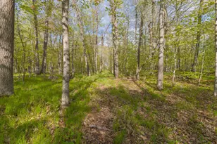 17549 295th Ave, Isle, MN 56342 - Photo 15