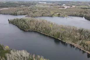 49692 Horseshoe Lk Rd, Marcell, MN 56657 - Photo 3