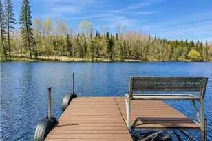 49692 Horseshoe Lk Rd, Marcell, MN 56657 - Photo 3