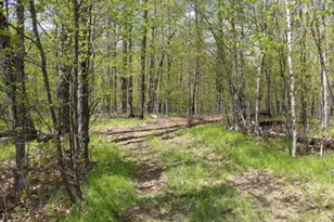 38626 496th Ln, Palisade, MN 56469 - Photo 27