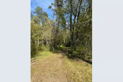 Tbd County Road 3, Merrifield, MN 56465 - Photo 13